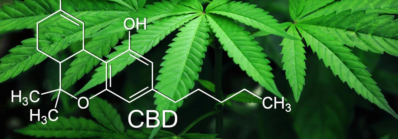 marijuana legale ad alto contenuto di CBD